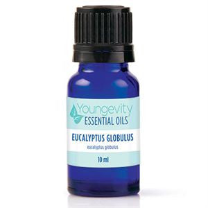 Eucalyptus Globulus Essential Oil - 10ml