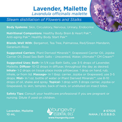 Lavender, Mailette Essential Oil - 10ml