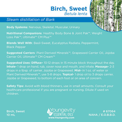 Birch, Sweet Essential Oil – 10ml