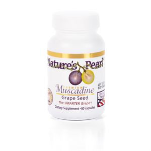 Muscadine Grape Seed - 60 caps