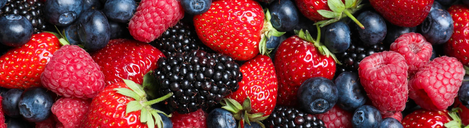 Joint, Bone & Tissue Support