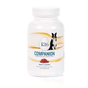 i26 Dog Companion Chewable - Beef