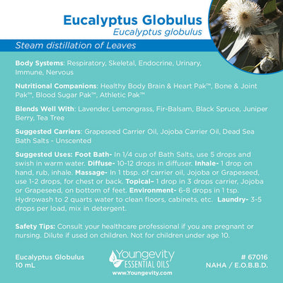 Eucalyptus Globulus Essential Oil - 10ml