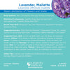Lavender, Mailette Essential Oil - 10ml