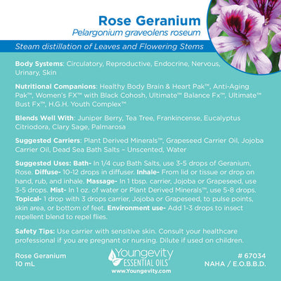 Rose Geranium Essential Oil - 10ml