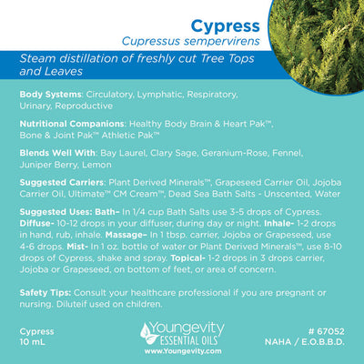 Cypress Essential Oil - 10ml