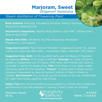 Marjoram, Sweet Essential Oil -  10ml