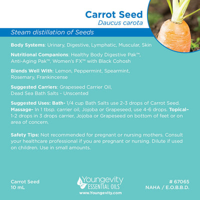 Carrot Seed Essential Oil - 10ml