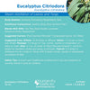 Eucalyptus Citriodora Essential Oil - 10ml