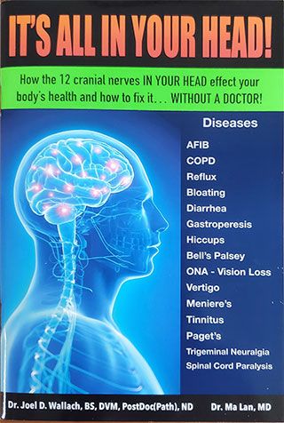 It's All In Your Head - Book