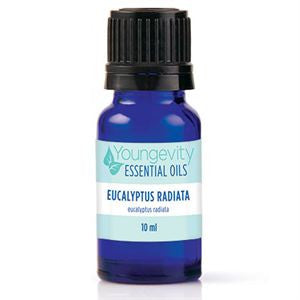 Eucalyptus Radiata Essential Oil – 10ml
